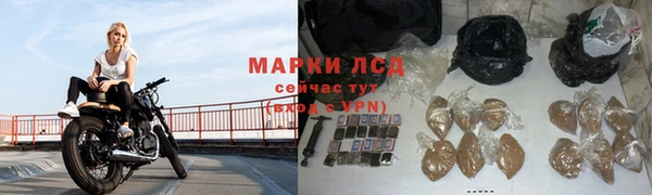 шишки Балабаново