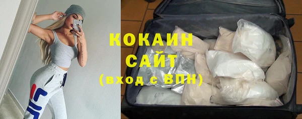 шишки Белокуриха