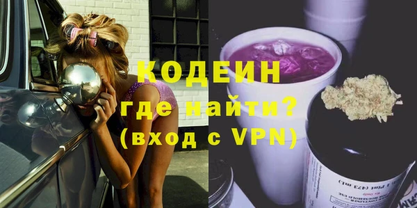 шишки Белокуриха