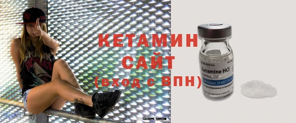 шишки Белокуриха