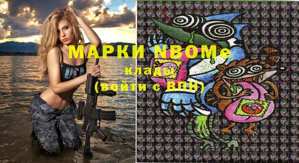 шишки Белокуриха